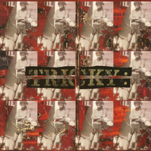 Load image into Gallery viewer, Tricky - Maxinquaye (Reincarnated)