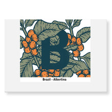 Load image into Gallery viewer, Craft House Coffee 250g Boxes / Bag