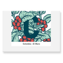 Load image into Gallery viewer, Craft House Coffee 250g Boxes / Bag