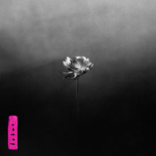 Load image into Gallery viewer, Little Simz - Lotus