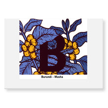 Load image into Gallery viewer, Craft House Coffee 250g Boxes / Bag