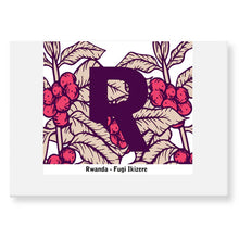 Load image into Gallery viewer, Craft House Coffee 250g Boxes / Bag