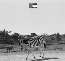 Load image into Gallery viewer, Louis VI - EARTHLING