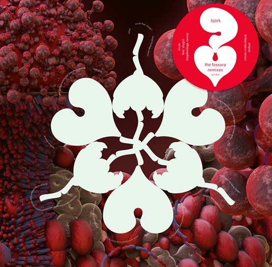 Björk - Ovule (Sega Bodega Remix) / Atopos (Sideproject Remix) (RSD 2023)